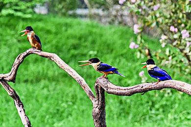 《英雄联盟》格斗游戏“Project L”将登陆PS系主机