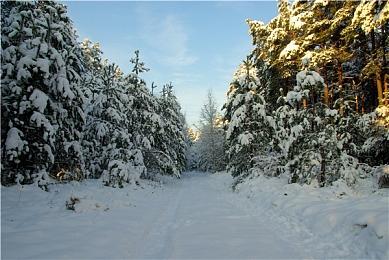 Nintendo live 2025东京场报名正式开启 10月4日至5日举办